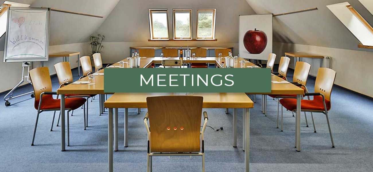 Heading "meetings"